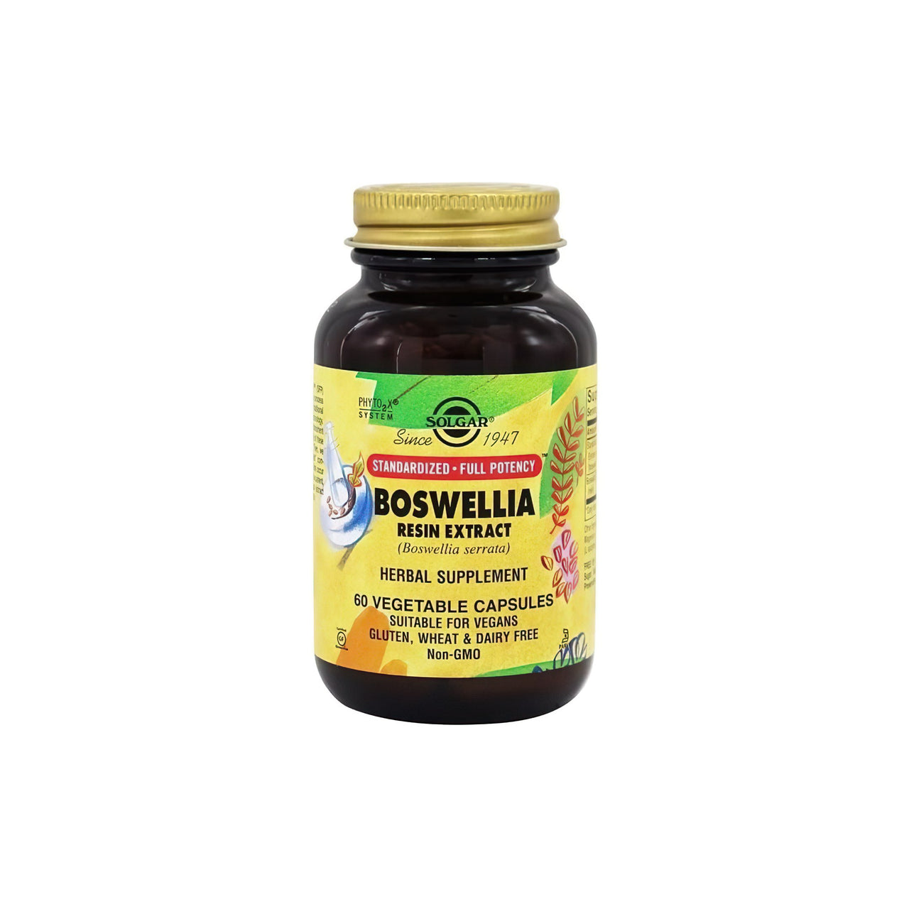 A bottle of SFP Boswellia Resin Extract 60 Vegetable Capsules by Solgar on a white background, promoting joint integrity for the musculoskeletal system.