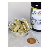 Thumbnail for Dandelion Root 515 mg 60 Capsules