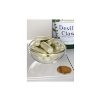 Thumbnail for Devil's Claw 500 mg 100 Capsules