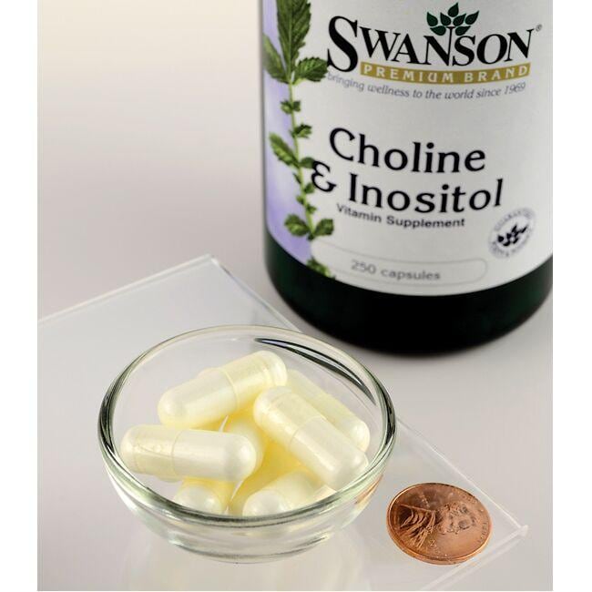 Swanson Cholin - 250 mg & Inositol - 250 mg Kapseln.
