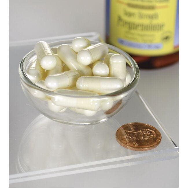 Eine Schale mit Swanson Pregnenolon - 50 mg 60 Kapseln neben einem Pfennig, die die Gehirnfunktion mit dem Prohormon Pregnenolon fördern.
