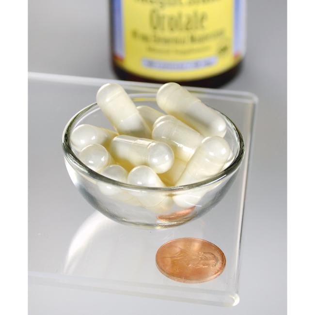 Magnesium Orotat - 40 mg 60 Kapseln von Swanson in einer Glasschale neben einem Penny.