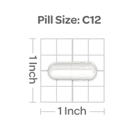 Das Vorschaubild für The Saw Palmetto 450 mg 200 Rapid Release Capsules, die speziell für die Gesundheit der Prostata entwickelt wurden, ist auf einem schwarzen Hintergrund zu sehen.